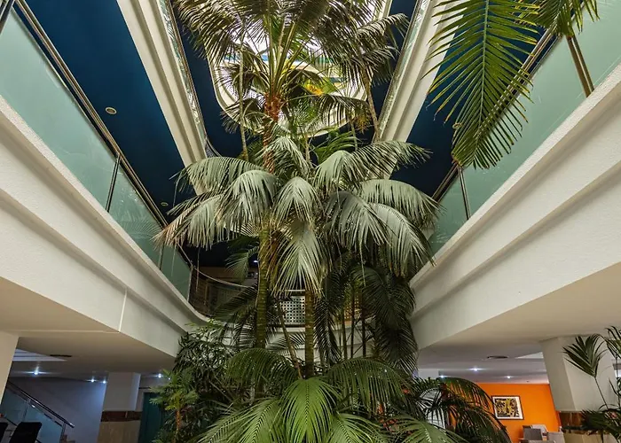 ホテル Ifa Altamarena By Lopesan