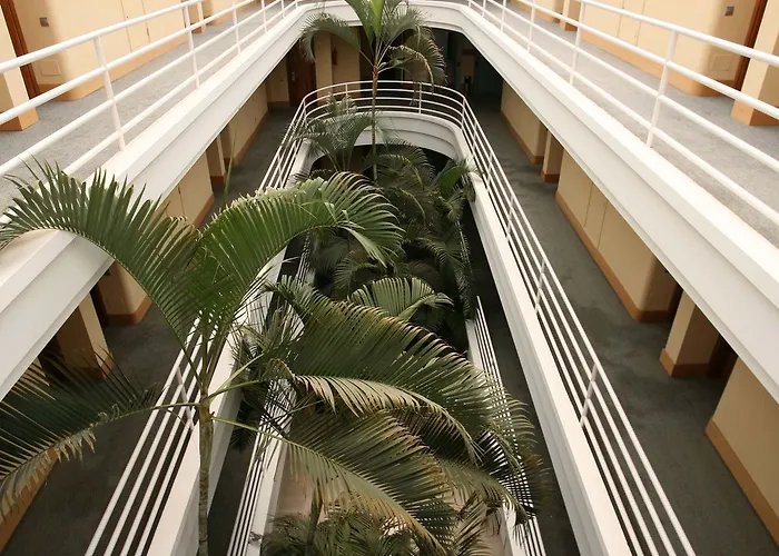 ホテル Ifa Altamarena By Lopesan