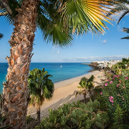 Ifa Altamarena By Lopesan 4*